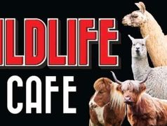 Wildlife Cafe