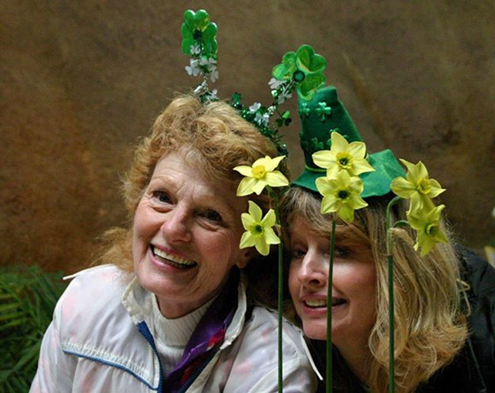 Mother Lode Daffodil Show at Ironstone Vineyards features more