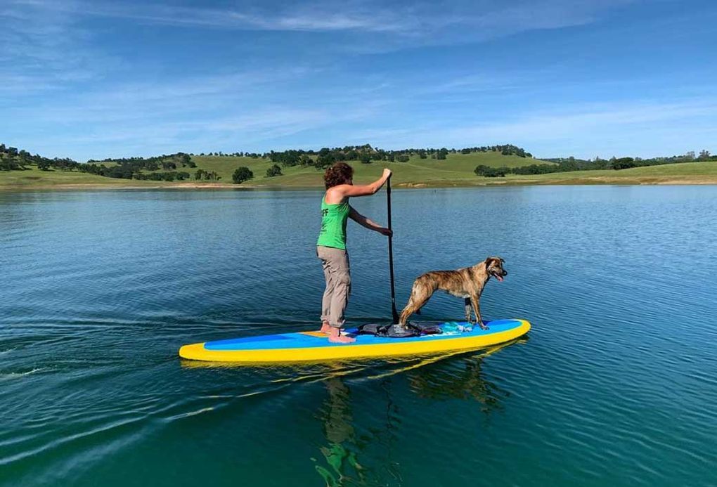Kayak Camanche kid and dogfriendly kayak rentals