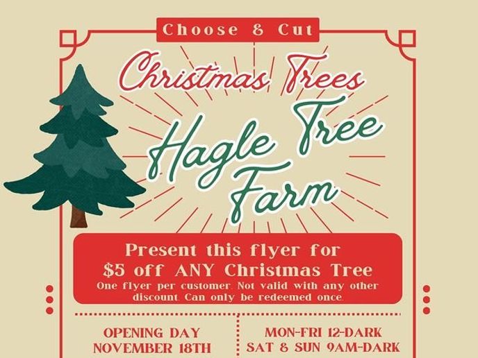 Cut Your Own Christmas Tree at Hagle Tree Farm