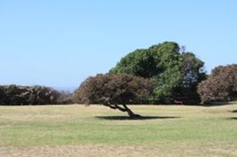 Ventura Camping Rv Parks And Hotels Visit Ventura