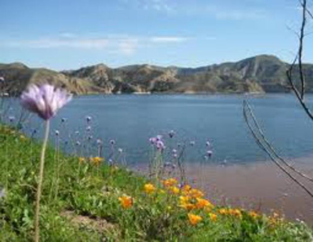 Lake Piru Recreation Area Ventura, California